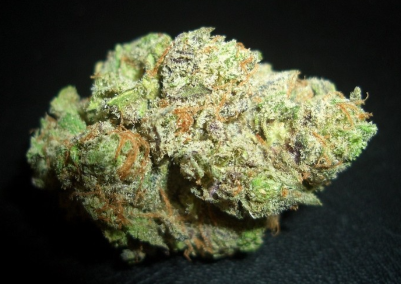 Kush Cookies Kush Cookies - Image 1